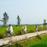 Bicycle Tour 1 Day